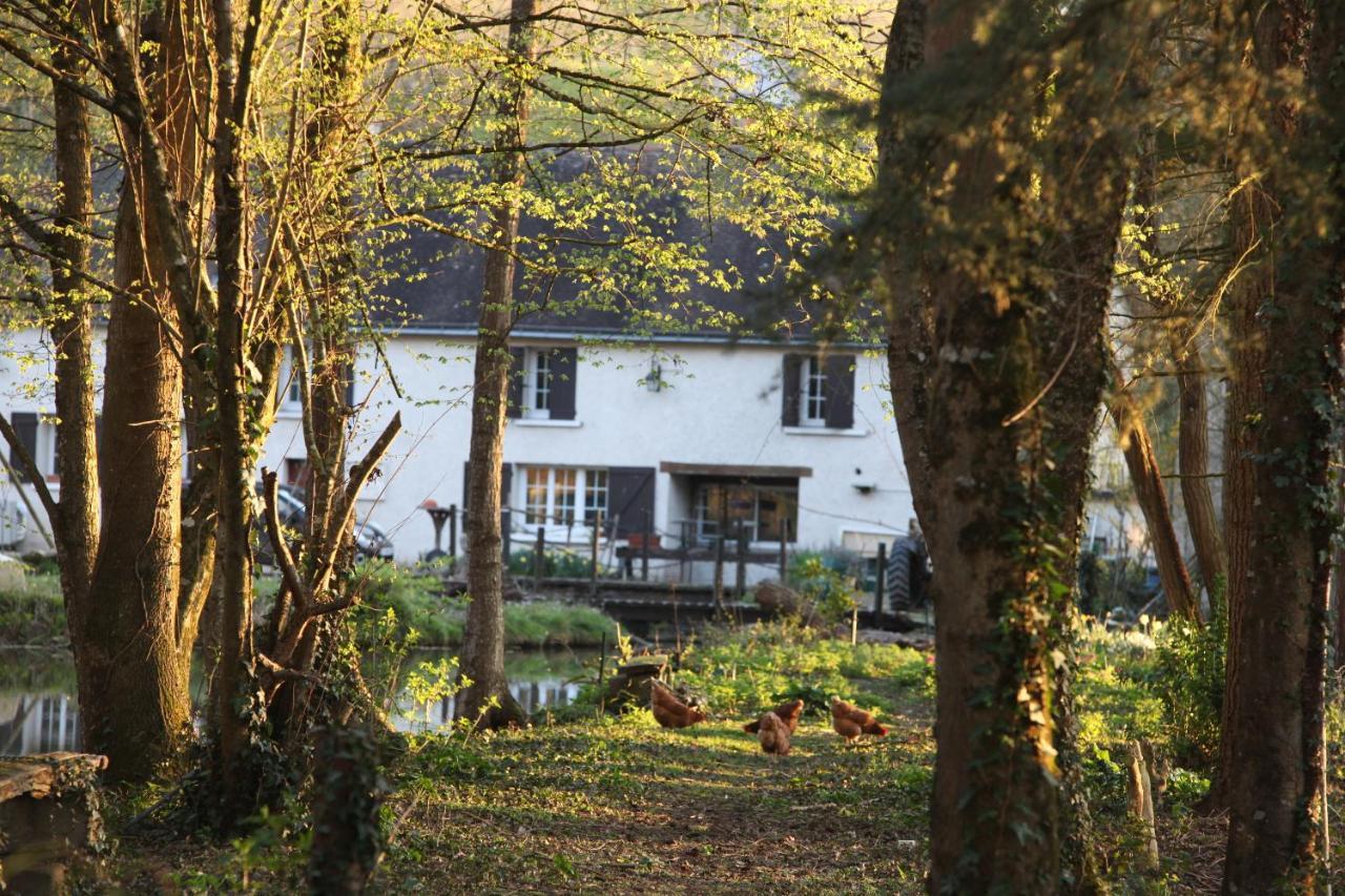 Fleurs De Brenne Gite Neuille-le-Lierre ภายนอก รูปภาพ