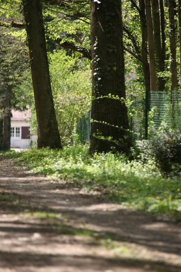 Fleurs De Brenne Gite Neuille-le-Lierre ภายนอก รูปภาพ