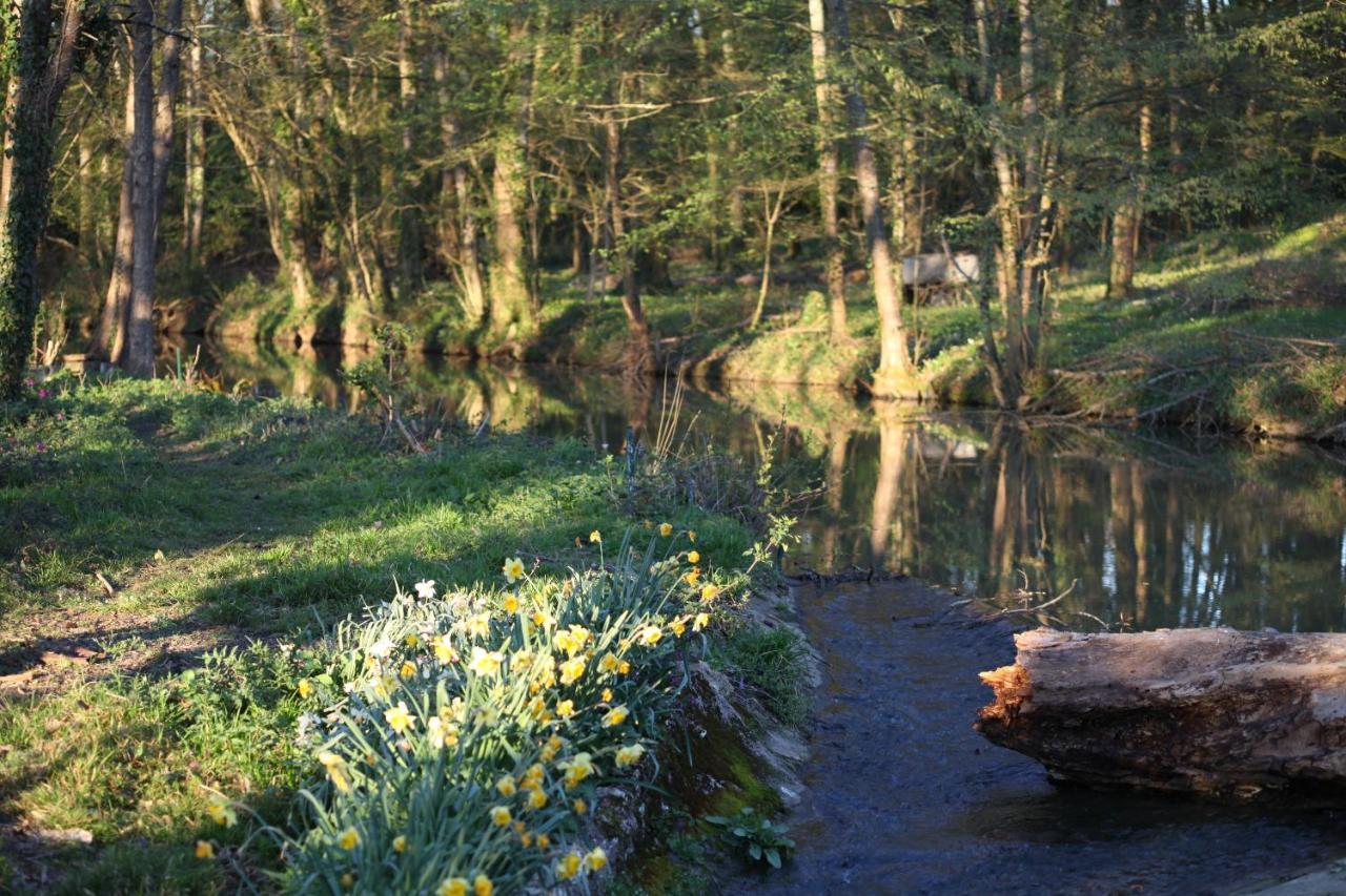 Fleurs De Brenne Gite Neuille-le-Lierre ภายนอก รูปภาพ