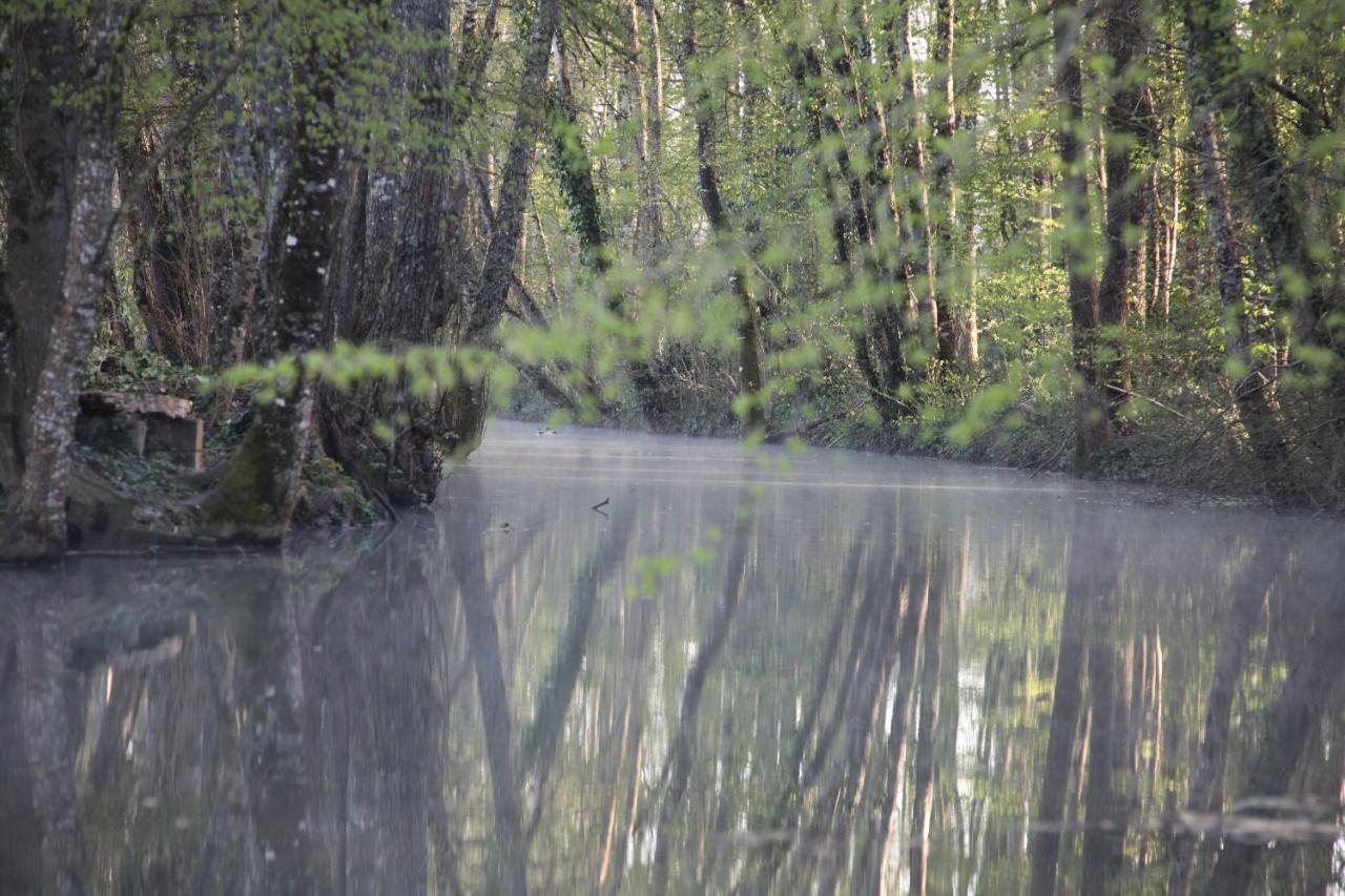 Fleurs De Brenne Gite Neuille-le-Lierre ภายนอก รูปภาพ