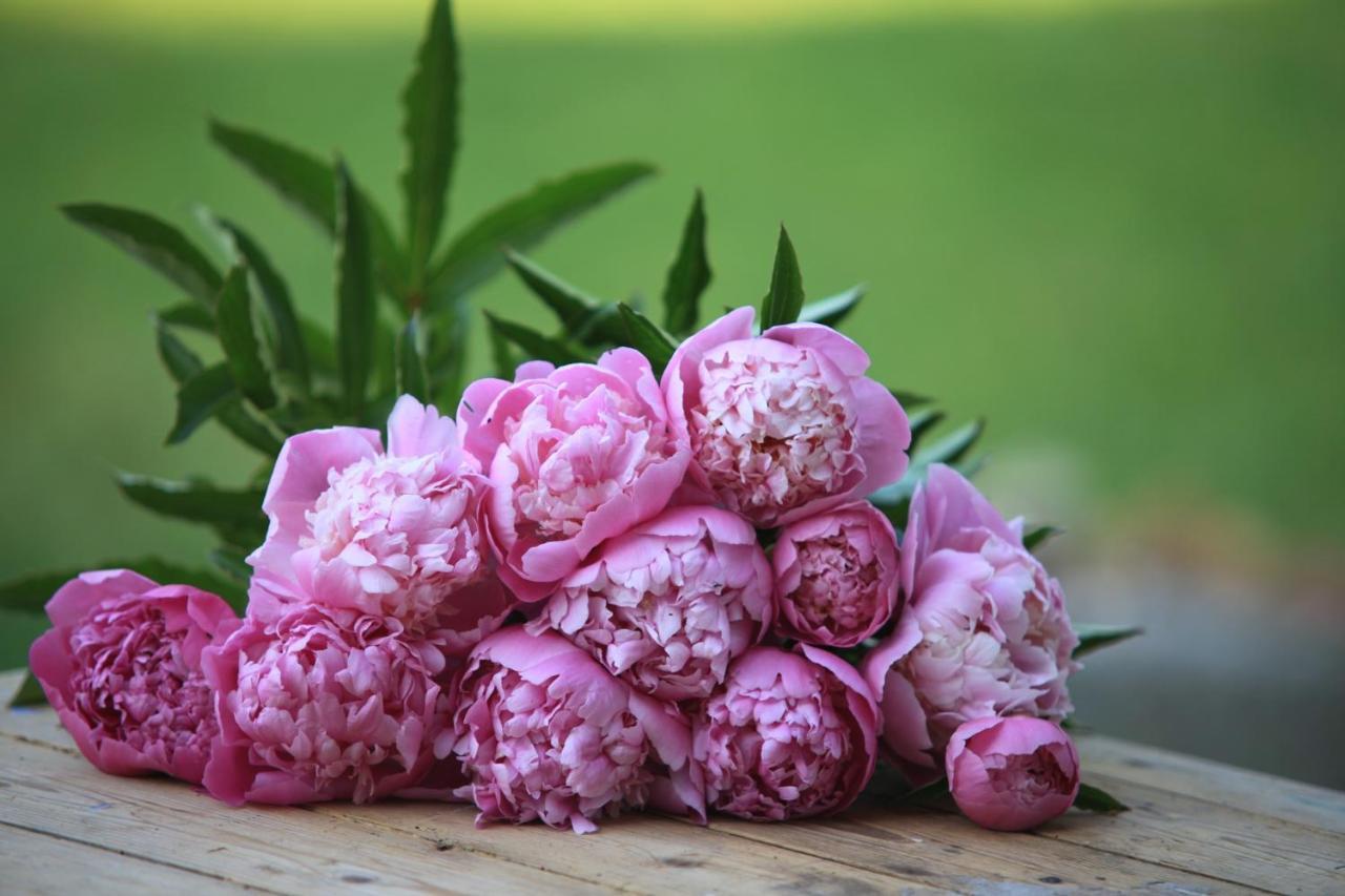 Fleurs De Brenne Gite Neuille-le-Lierre ภายนอก รูปภาพ