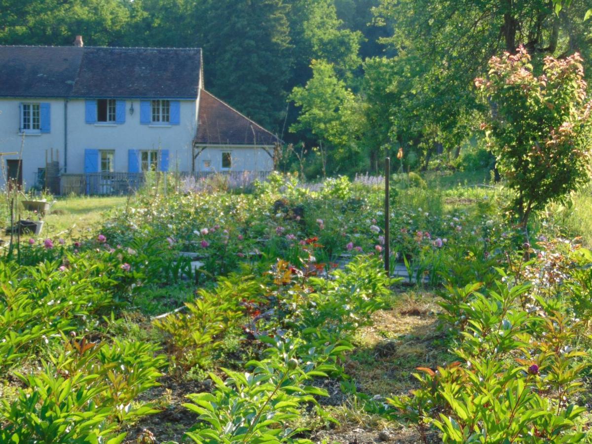 Fleurs De Brenne Gite Neuille-le-Lierre ภายนอก รูปภาพ